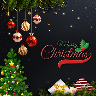 Merry Christmas quotes in Hindi